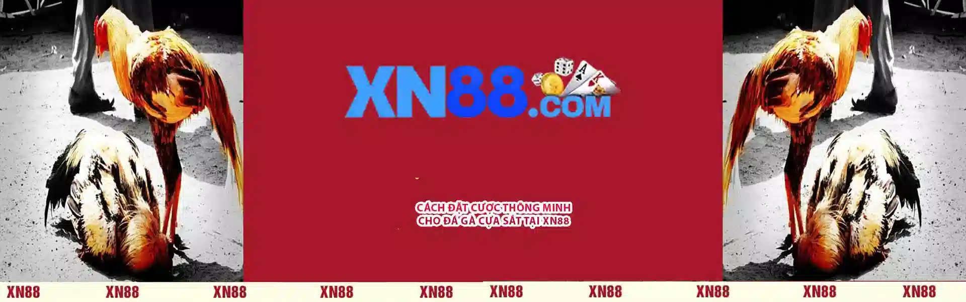 XN88 Banner